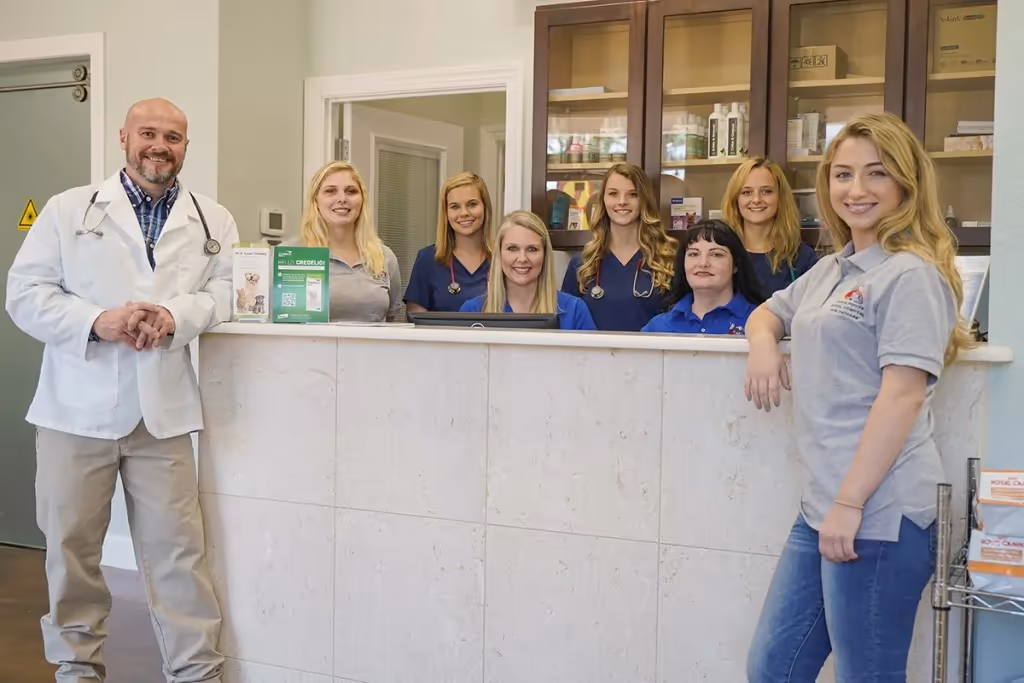 staff profile