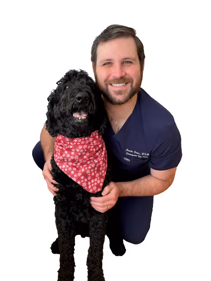 staff profile