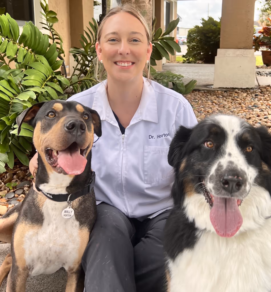 staff profile