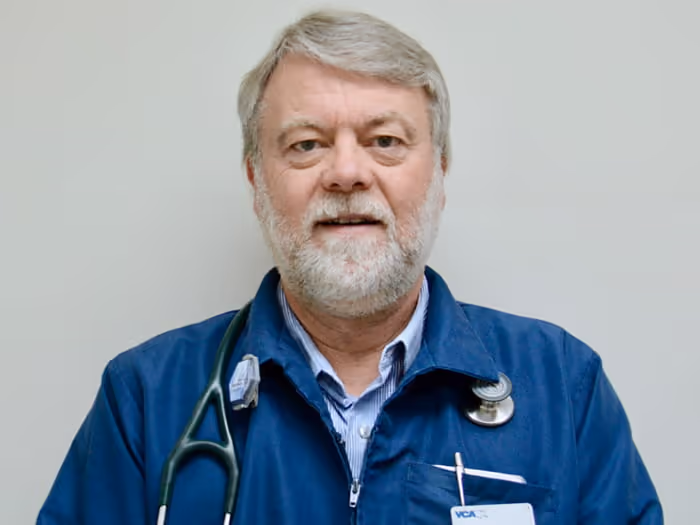 staff profile