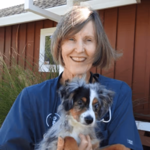 staff profile