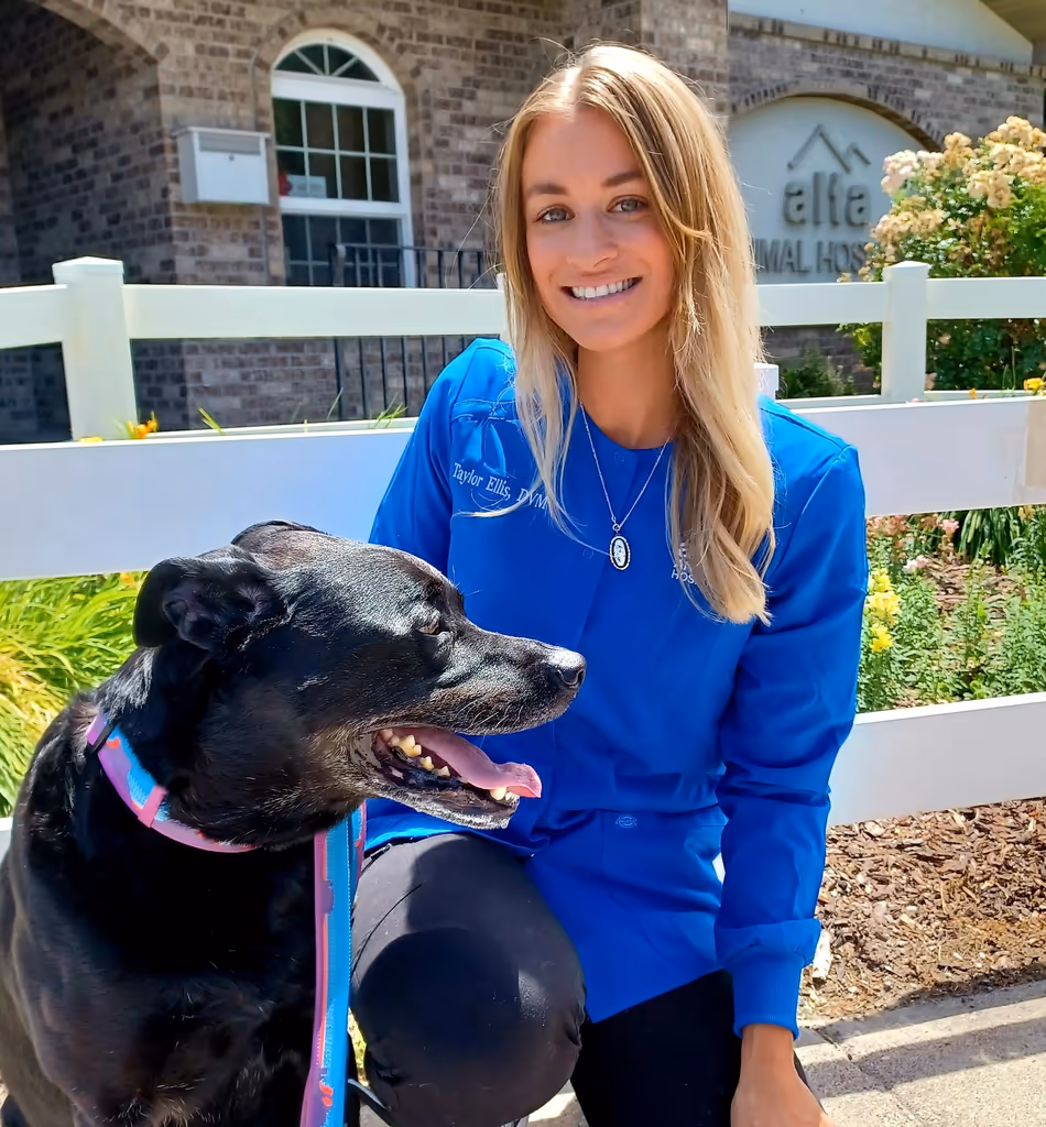 staff profile