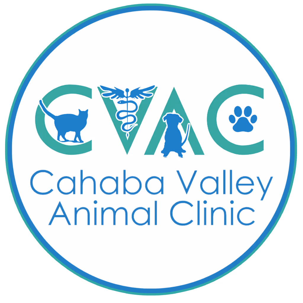 Cahaba Valley Animal Clinic - Pet services facility