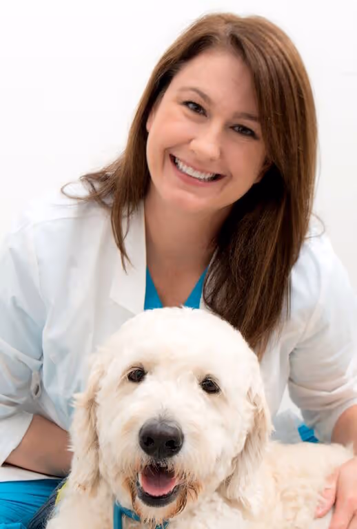 staff profile