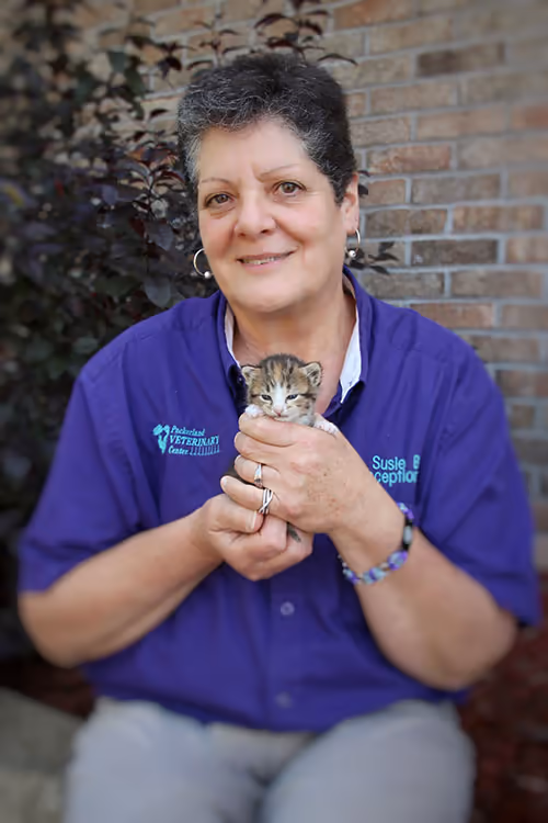 staff profile