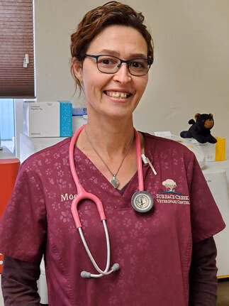 staff profile