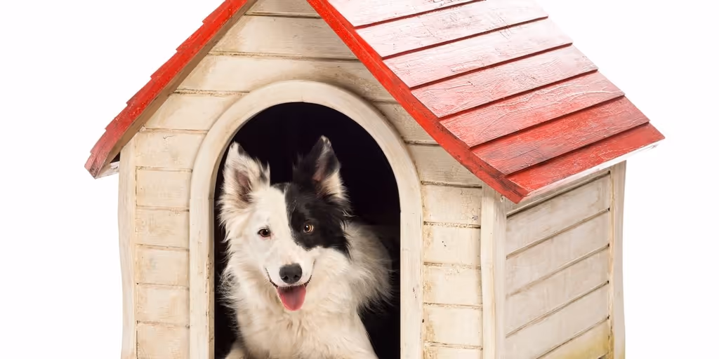 Animal Tails Rescue - Pet services facility