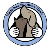 facility profile image