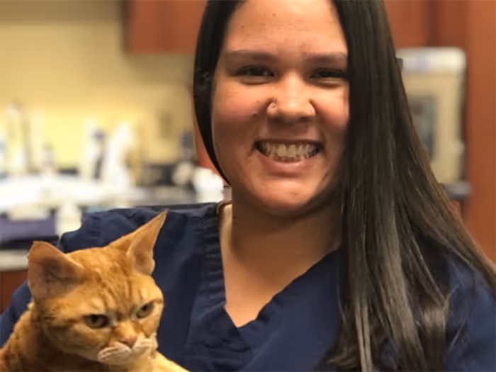 staff profile