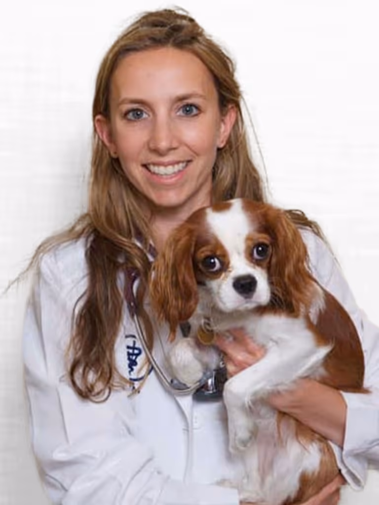 staff profile