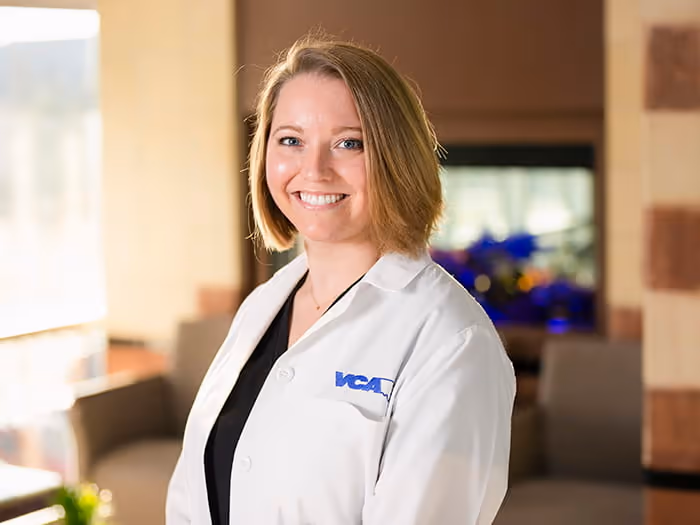 staff profile