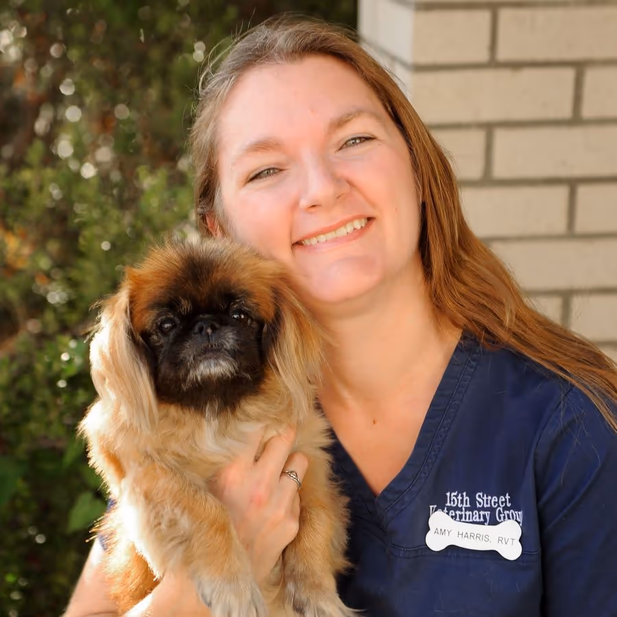 staff profile