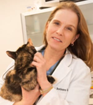 staff profile