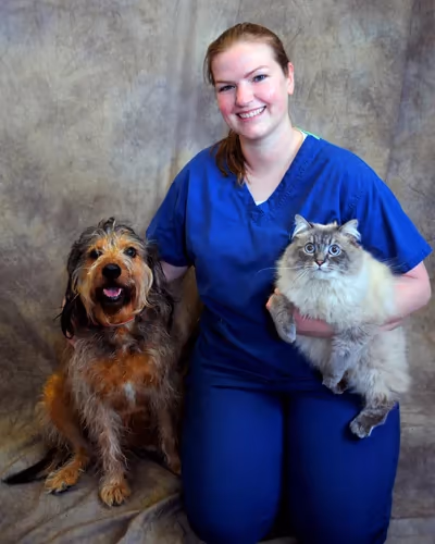staff profile