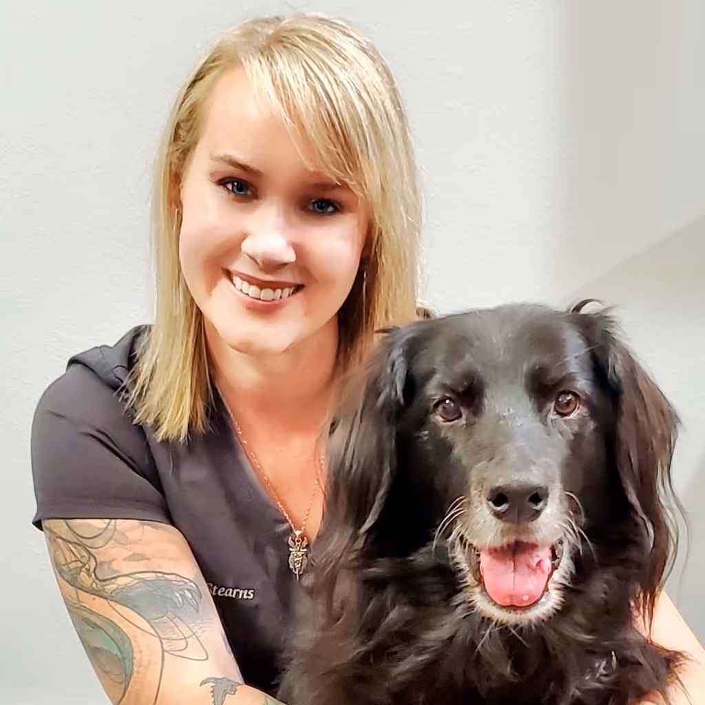 staff profile