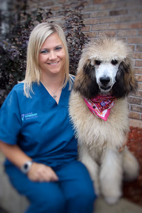 staff profile