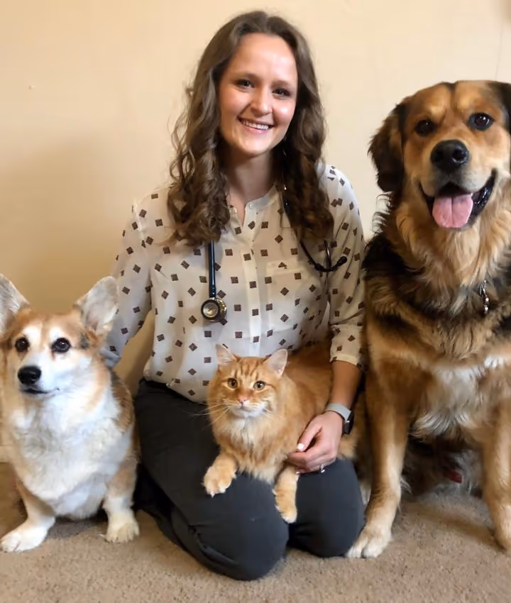 staff profile