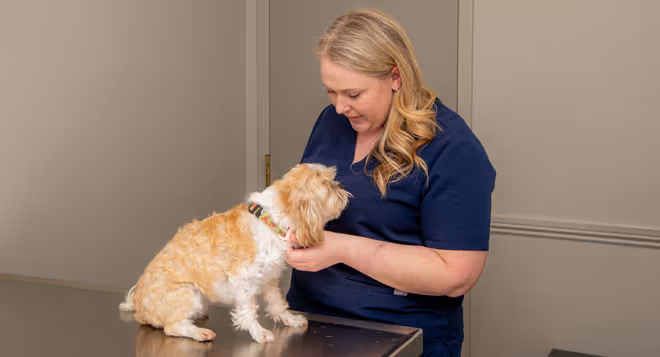 staff profile