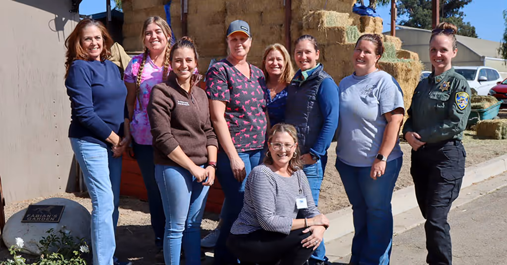 staff profile