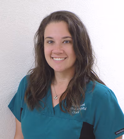 staff profile