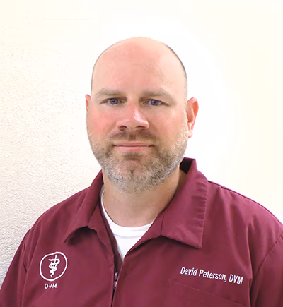 staff profile
