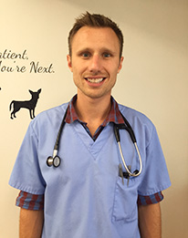 staff profile