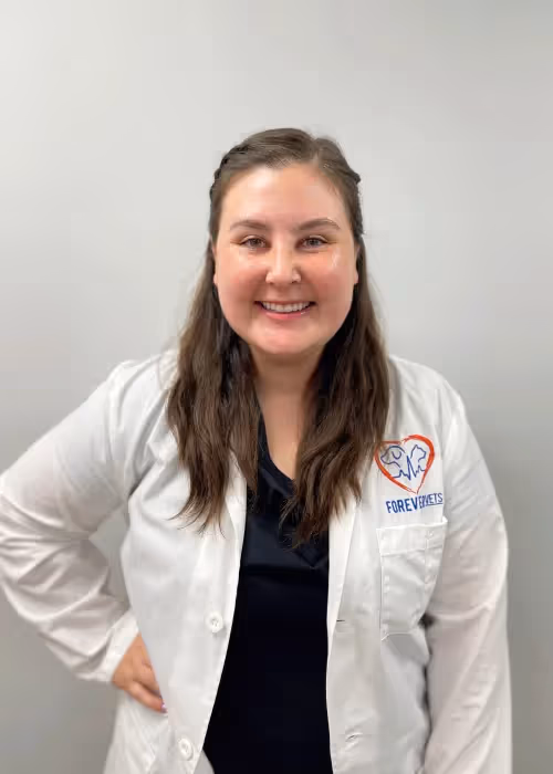 staff profile