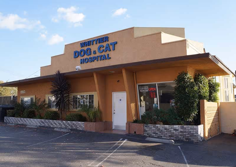 facility profile image