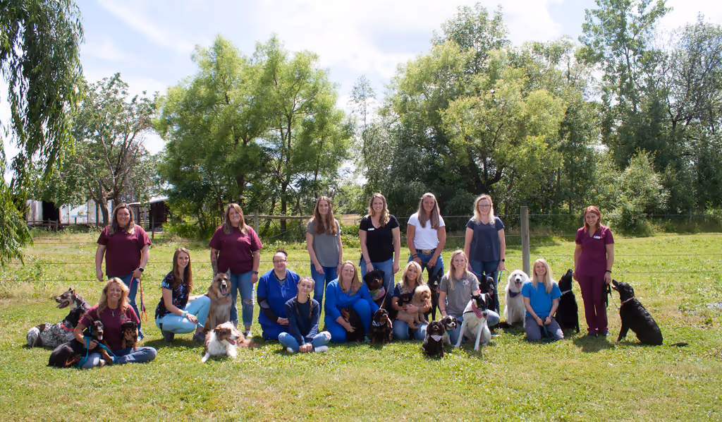 staff profile