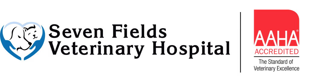 staff profile