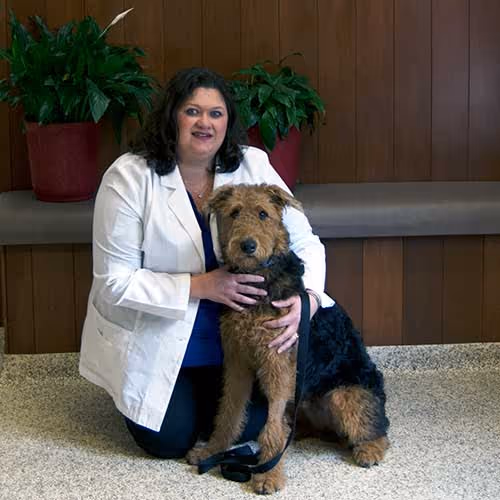 staff profile