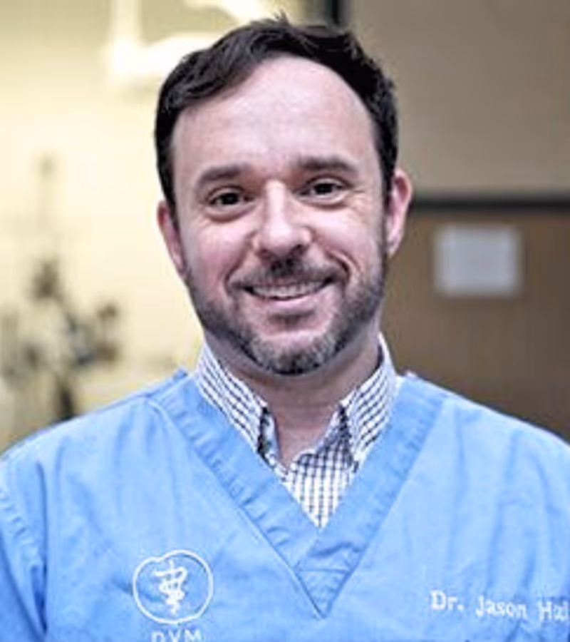 staff profile