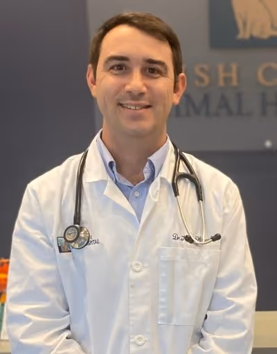 staff profile