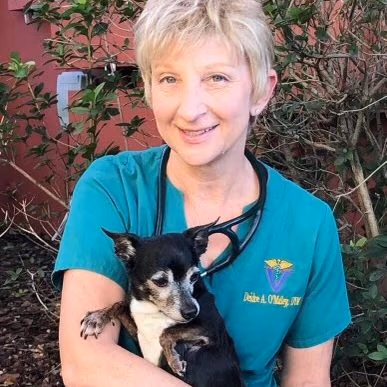staff profile