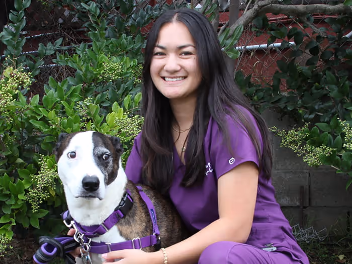 staff profile