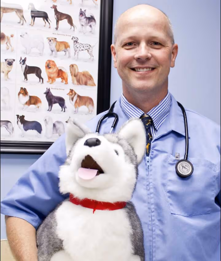 staff profile