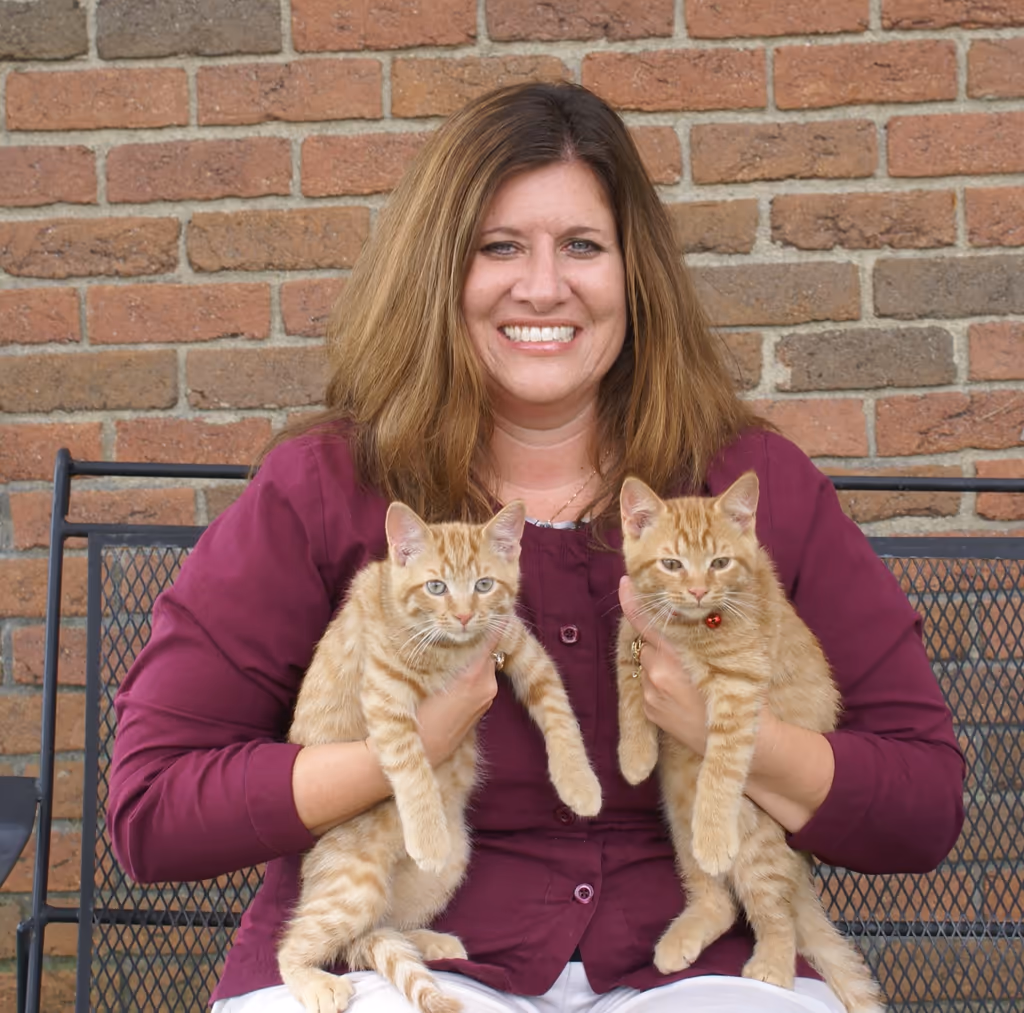 staff profile
