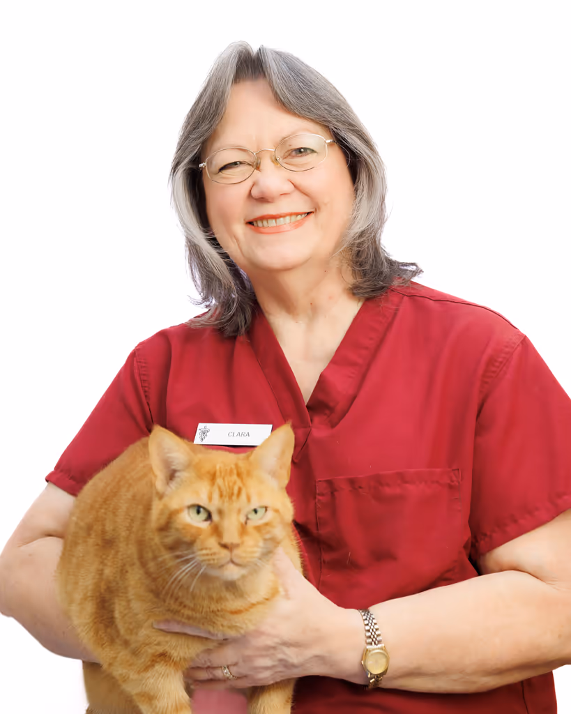staff profile