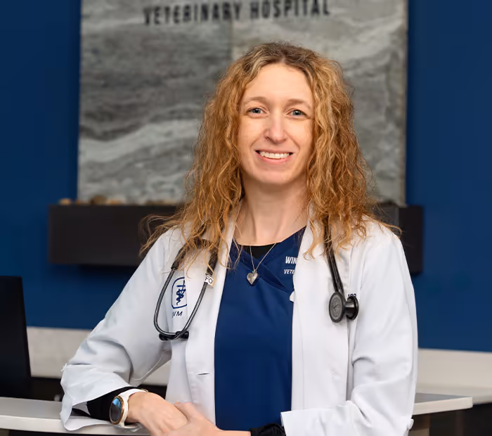 staff profile
