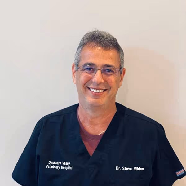 staff profile