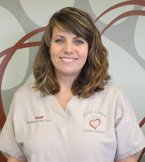 staff profile