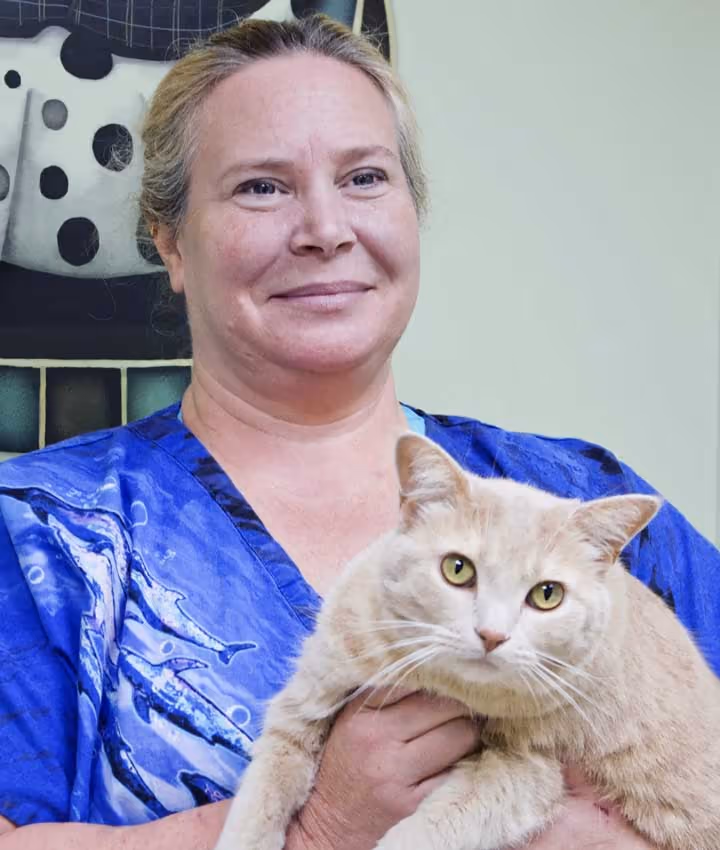 staff profile