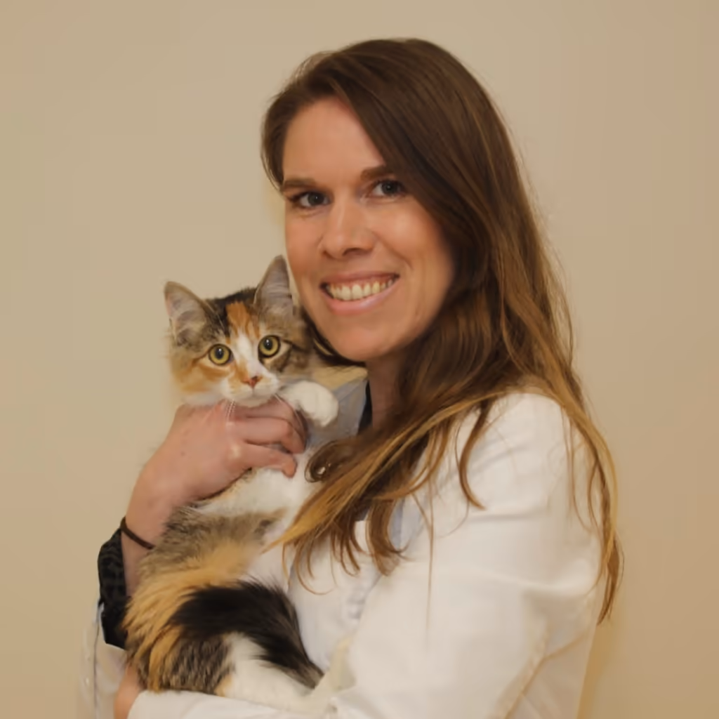 staff profile