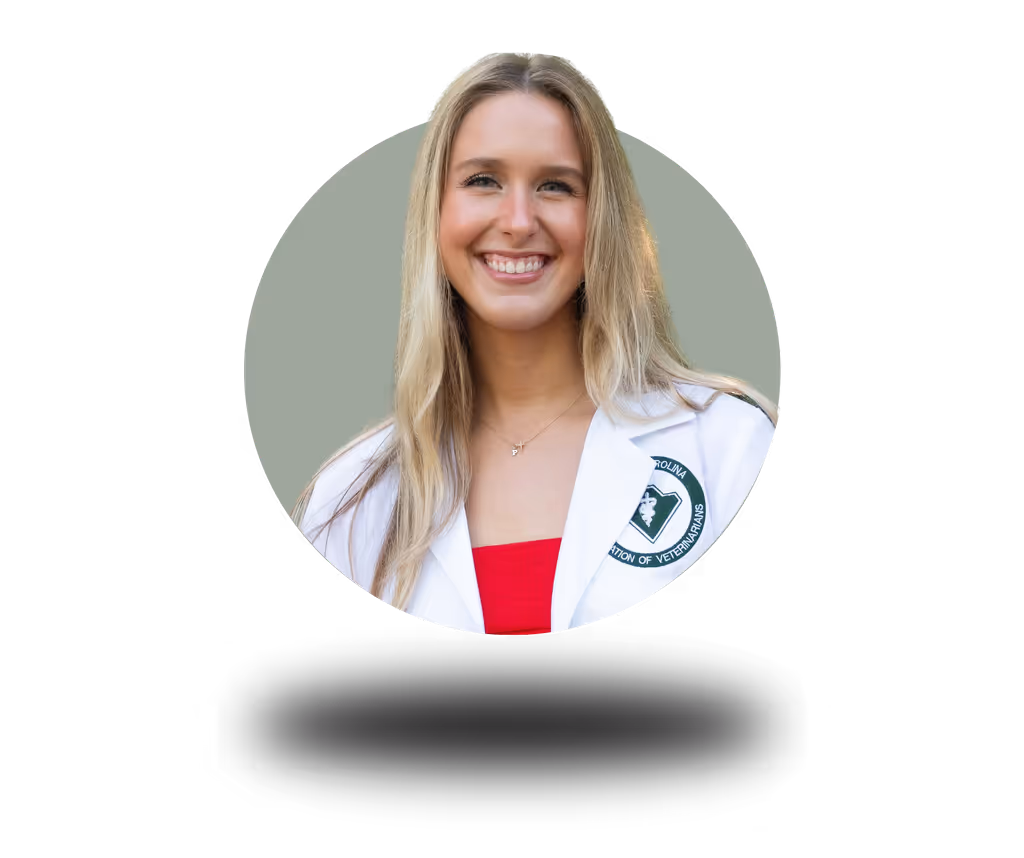 staff profile