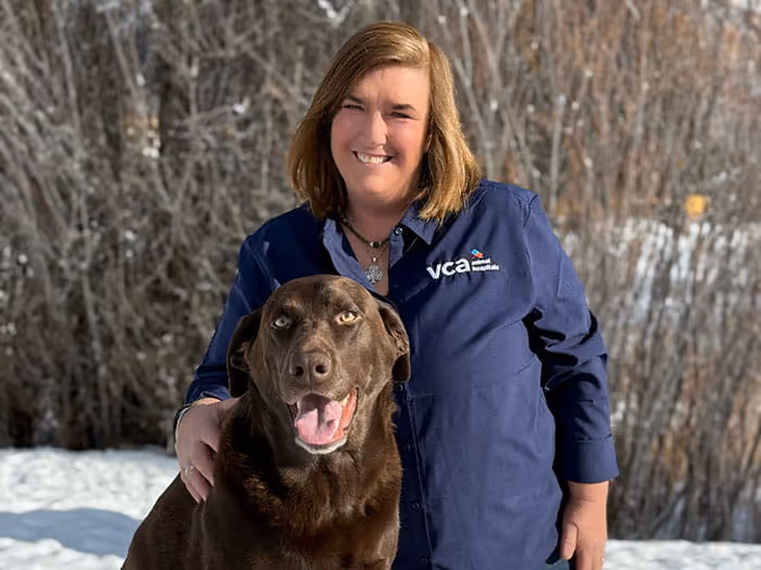 staff profile