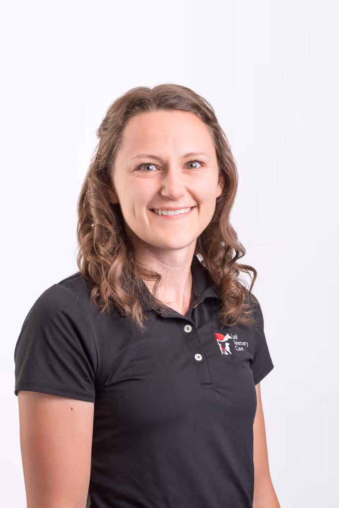 staff profile