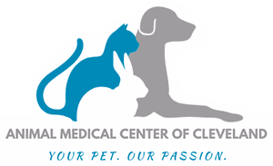 facility profile image