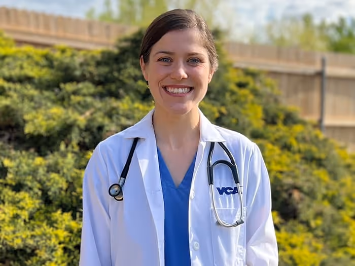 staff profile