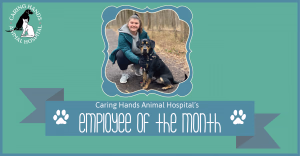 staff profile
