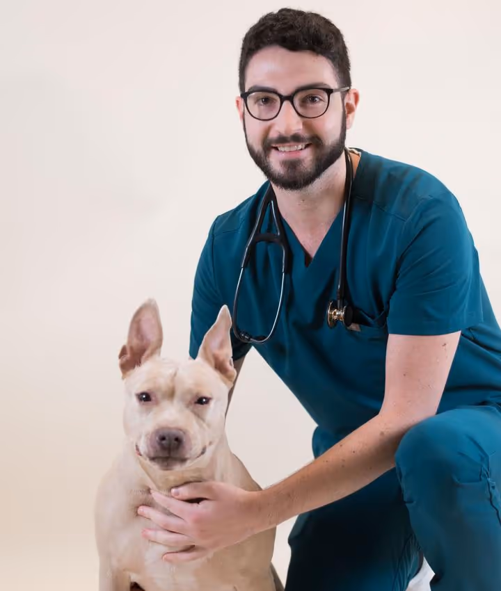 staff profile